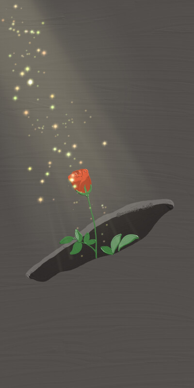 壁纸々玫瑰々孤独々光亮々
这位@momo的一点日常
