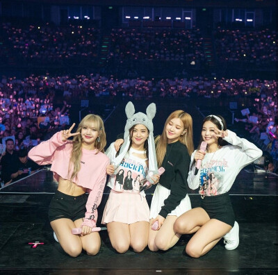 blackpink 金智秀 Jennie金智妮Rosé朴彩英 lisa 高清 壁纸