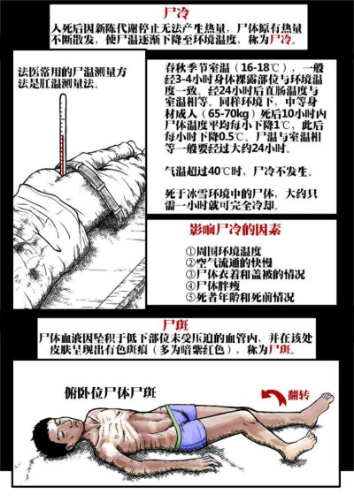 漫画介绍尸体/写法医刑侦类作品必备素材/自用