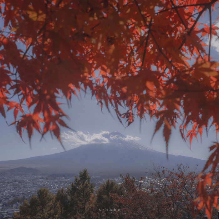 富士山