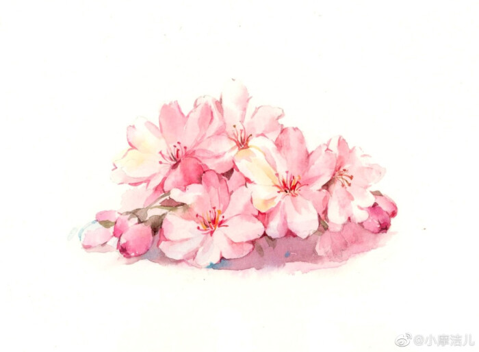 水彩花手绘 堆糖 美图壁纸兴趣社区