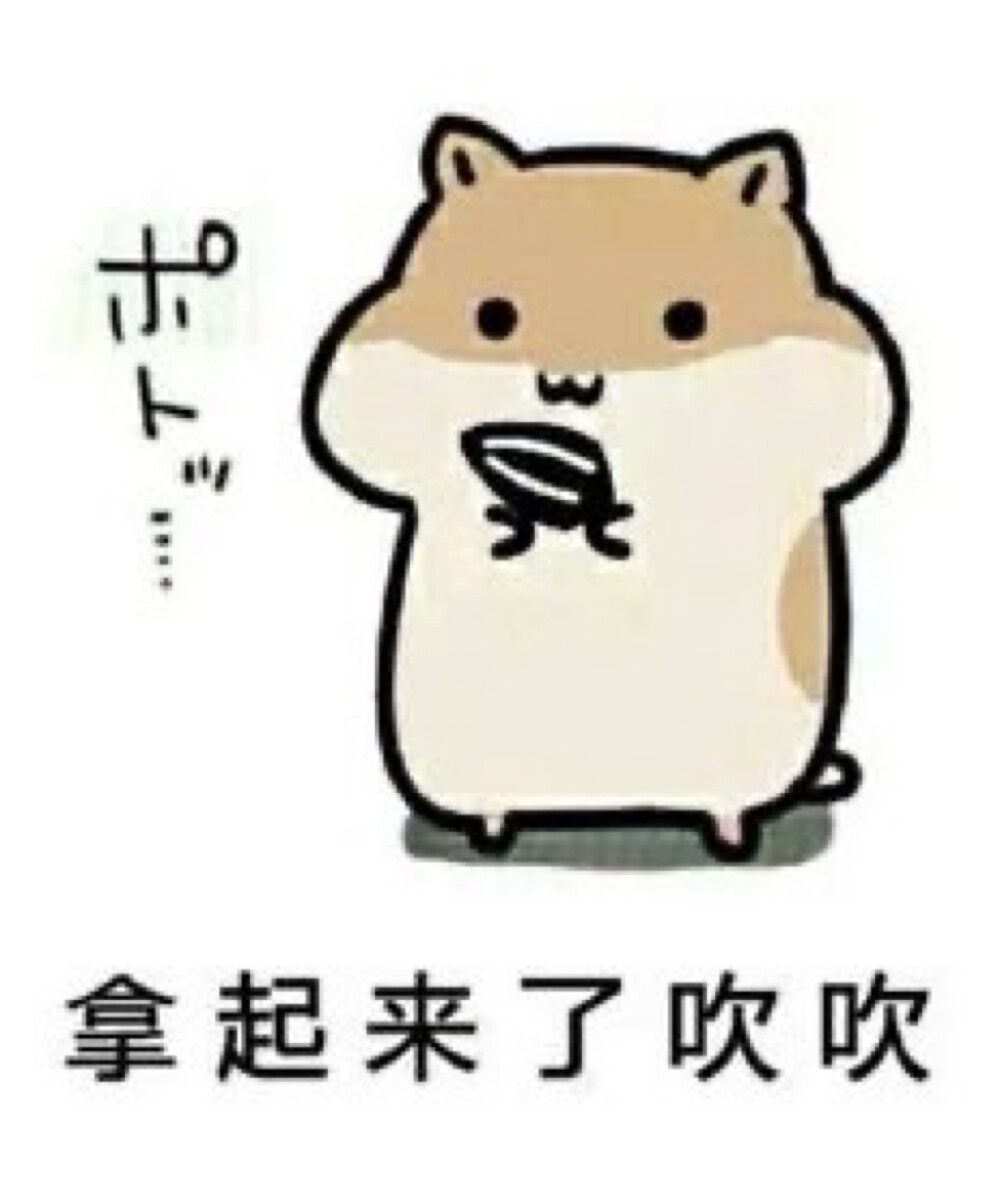 仓鼠表情包