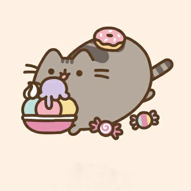 pusheen