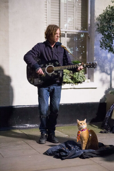 流浪猫鲍勃 A Street Cat Named Bob