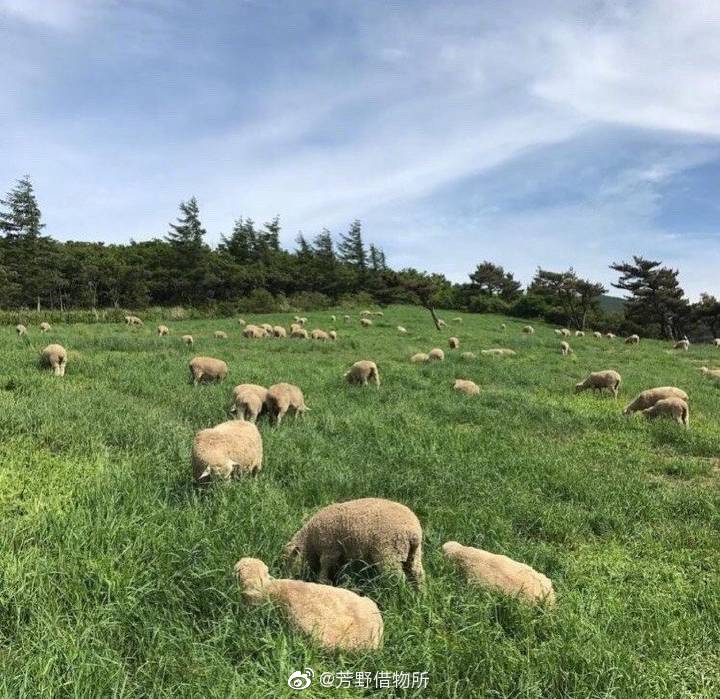 活在当下的诗意