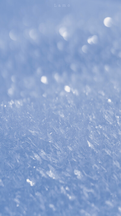 雪。 摄影师：小武拉莫