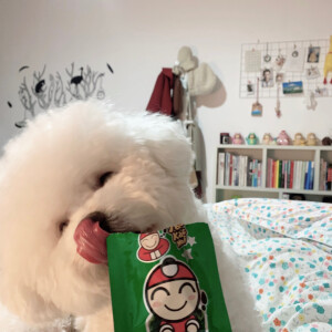 崽啊崽