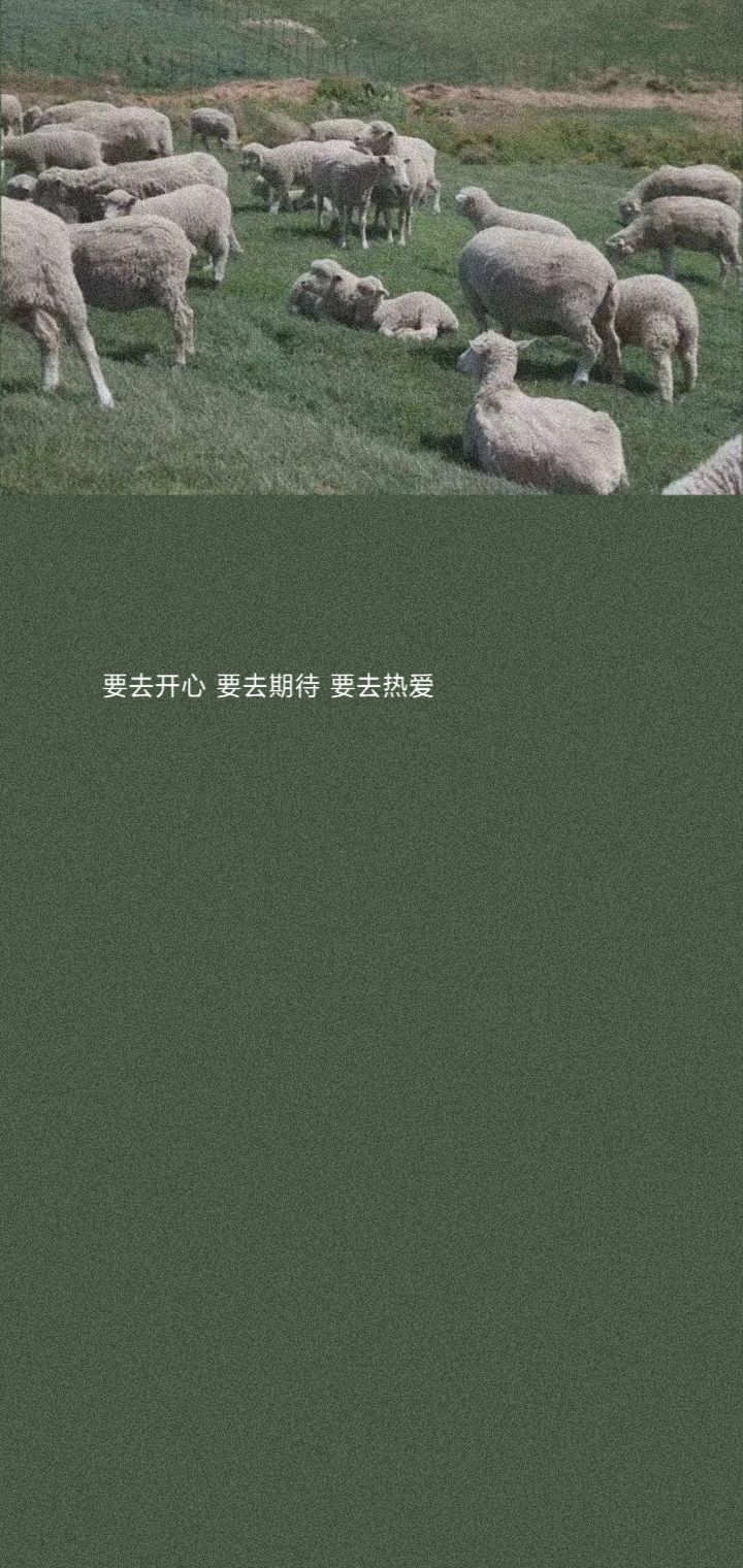 锁屏背景