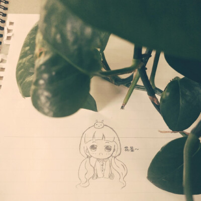 一个女孩子的涂涂画画