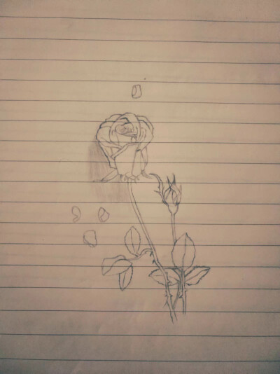 一个女孩子的涂涂画画