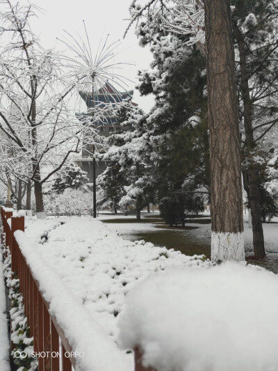 景山前街＆前门大街⛄年前雪景