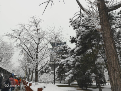 景山前街＆前门大街⛄年前雪景