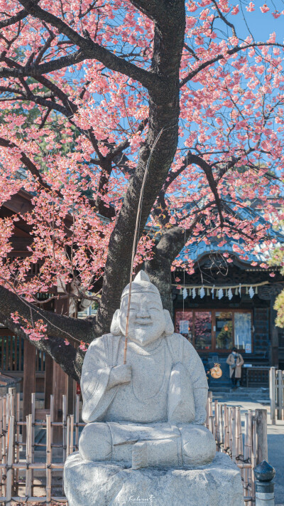 日本·东京