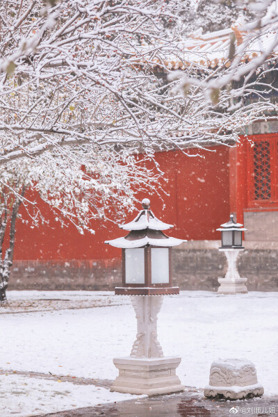 故宫海棠与雪??
cr：刘顺儿妞（微博）