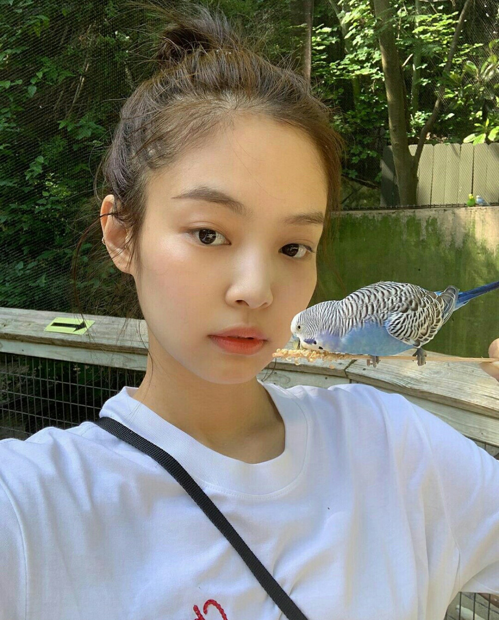 Jennie