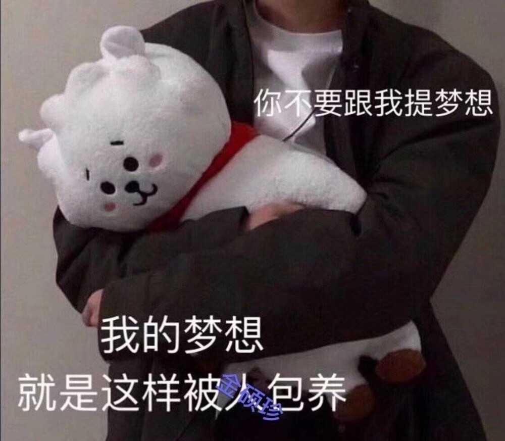 BT21表情包