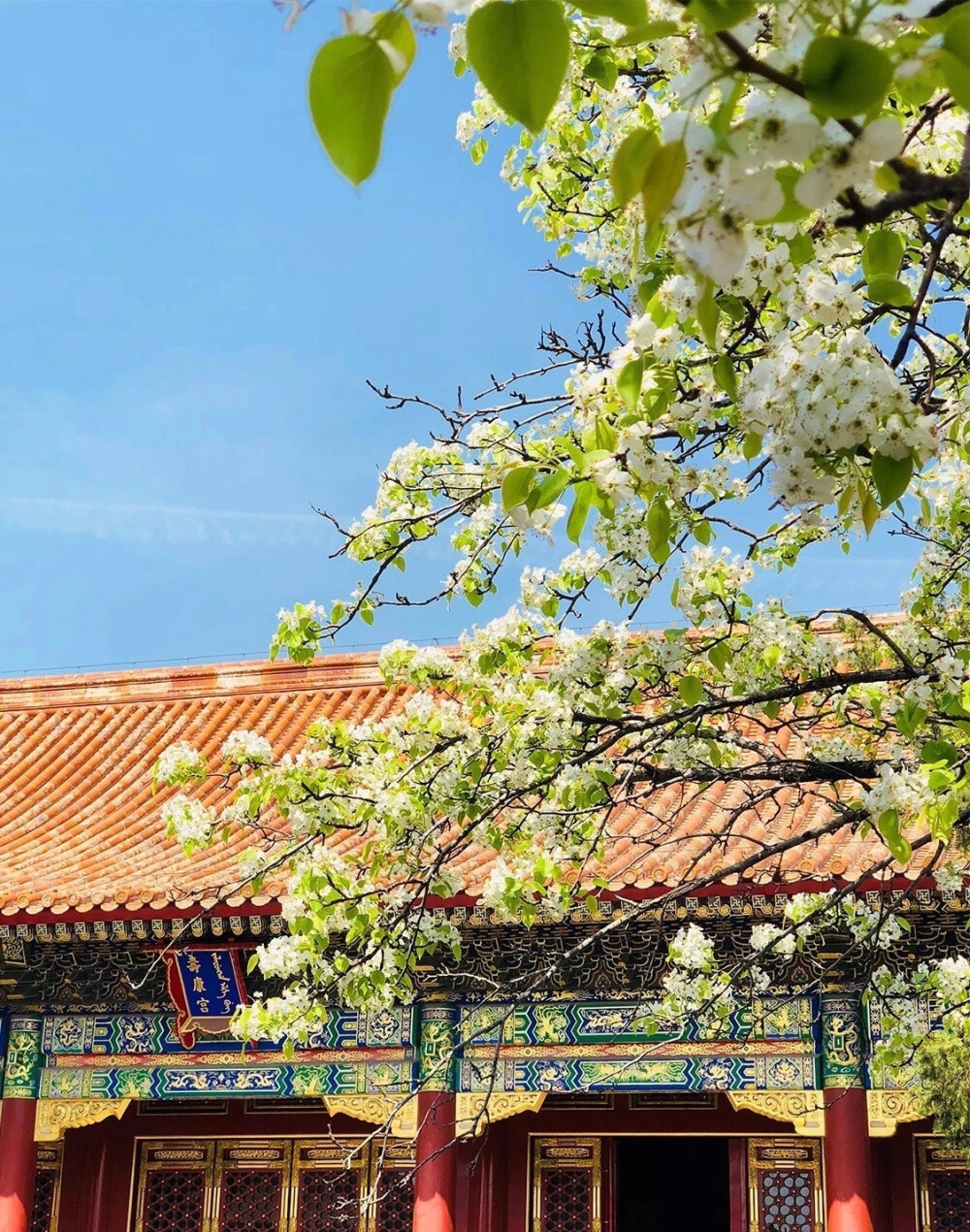 春林花多媚，春阳意多暖，春风复多情，吹我罗裳开