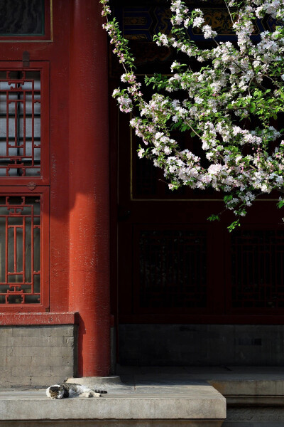 春林花多媚，春阳意多暖，春风复多情，吹我罗裳开