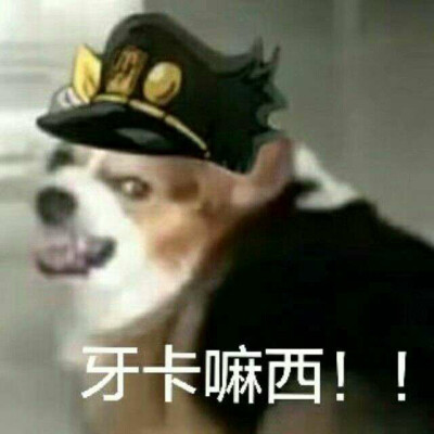 沙雕图