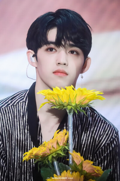 S.COUPS