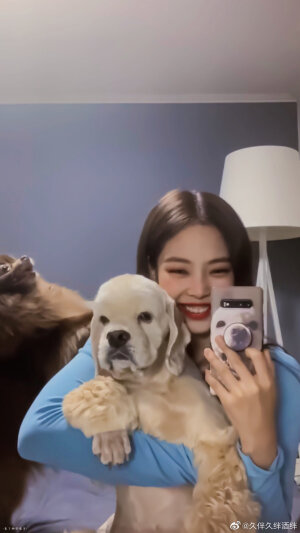 jennie的狗狗们
kuma kai