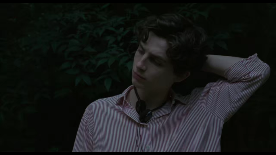 call me by your name
《请以你的名字呼唤我》
甜茶甜茶