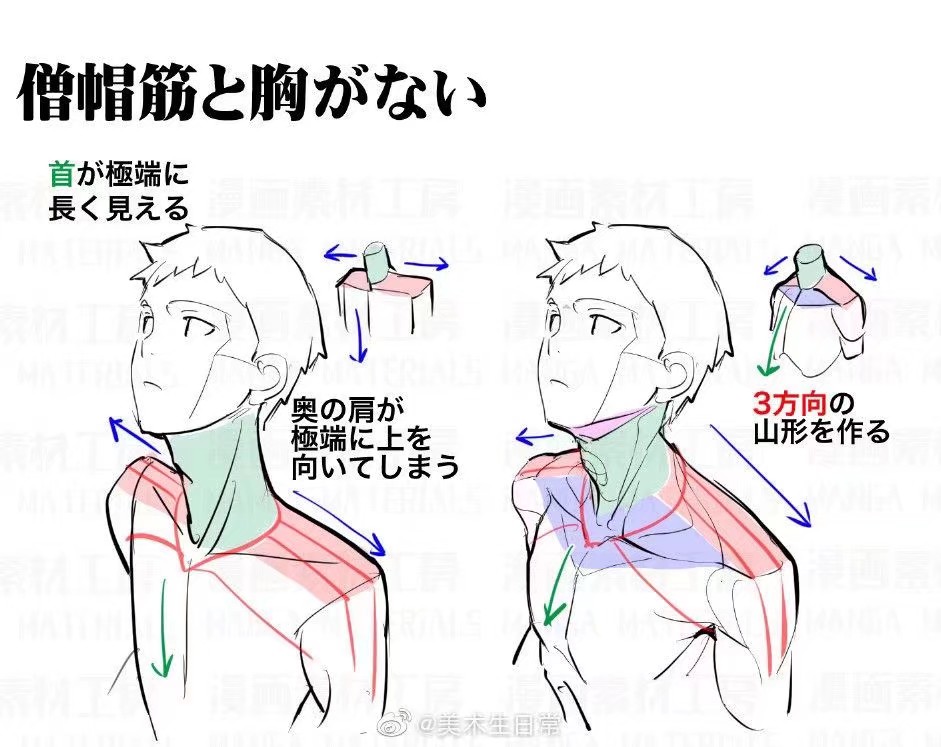 不同姿态的肩膀画法