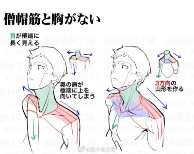 不同姿态的肩膀画法