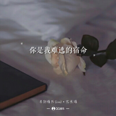 尤长靖《半封情书》
歌词 语录 文字 壁纸 锁屏
键盘 原创 极简 短句 韩文 背景图
韩流 句子 韩风 欧美 清新 歌词海报