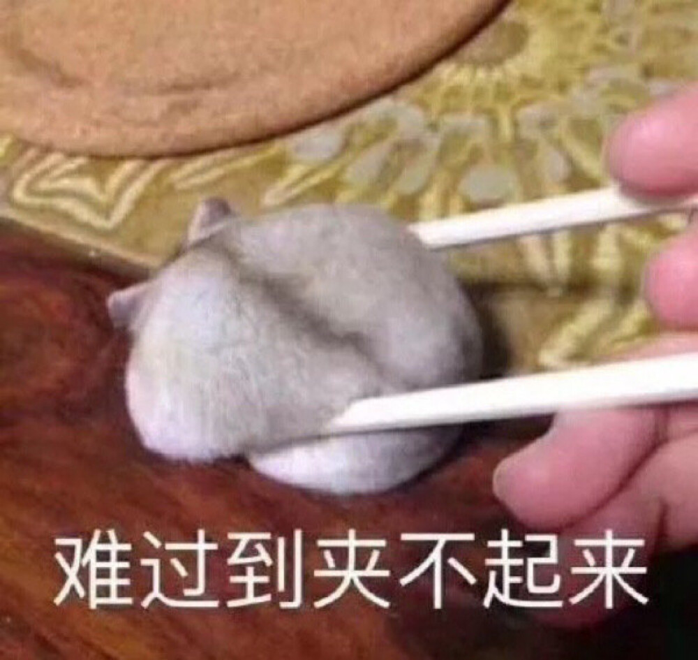 搞怪可爱表情包