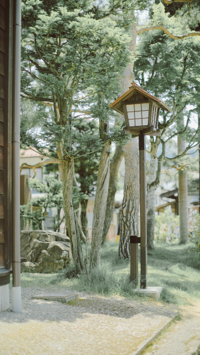 日本的夏天