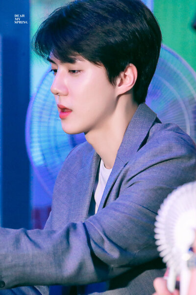 吴世勋 exo sehun