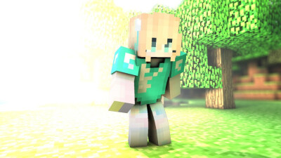 Minecraft 我的世界 MC