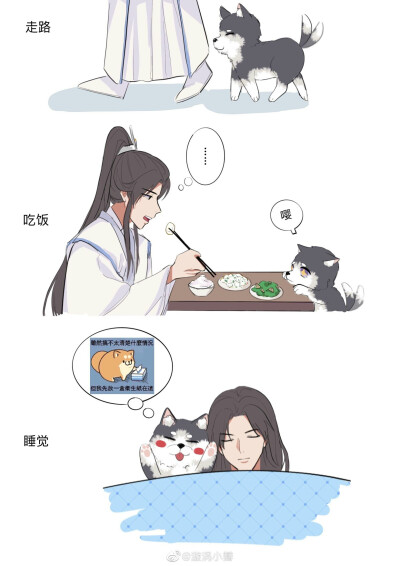 二哈和他的的白猫师尊