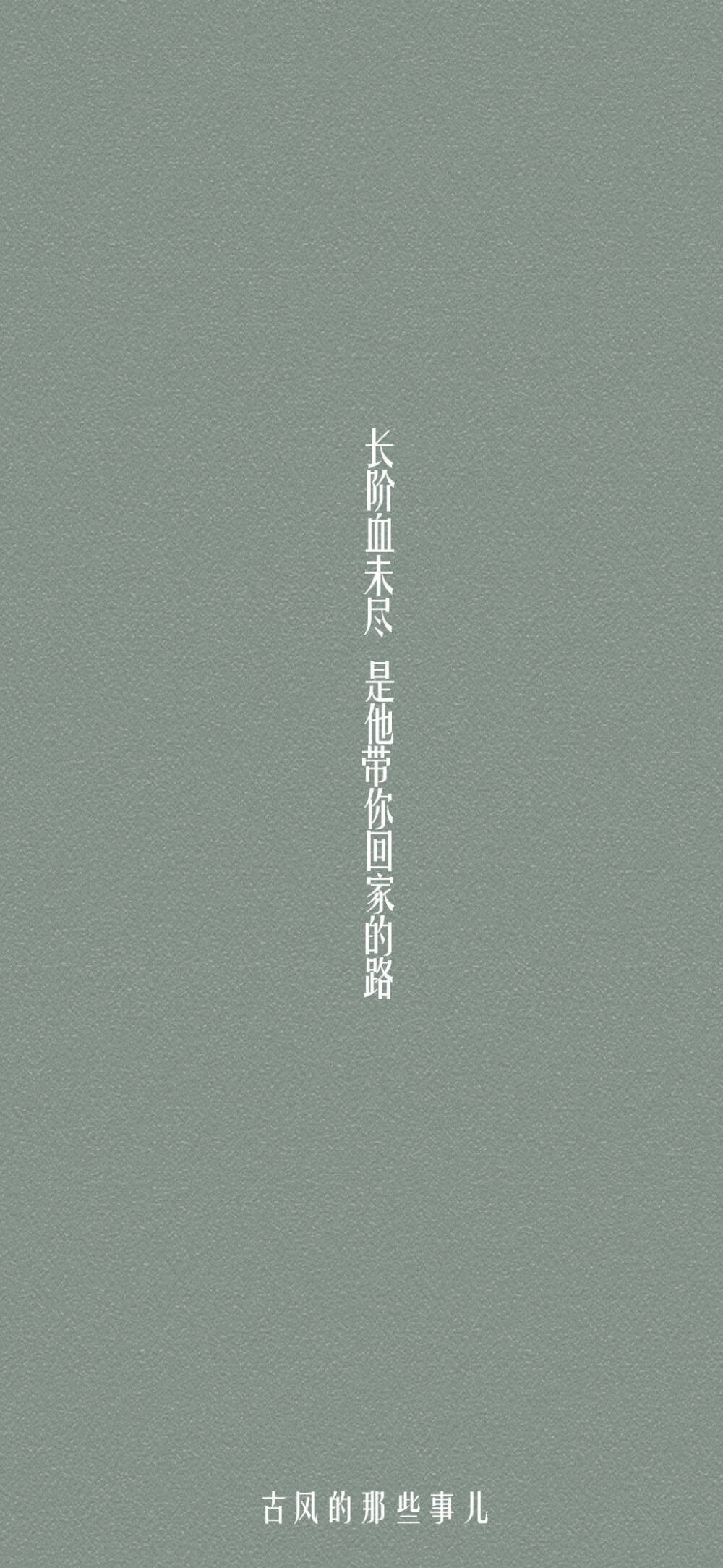 二哈和他的的白猫师尊