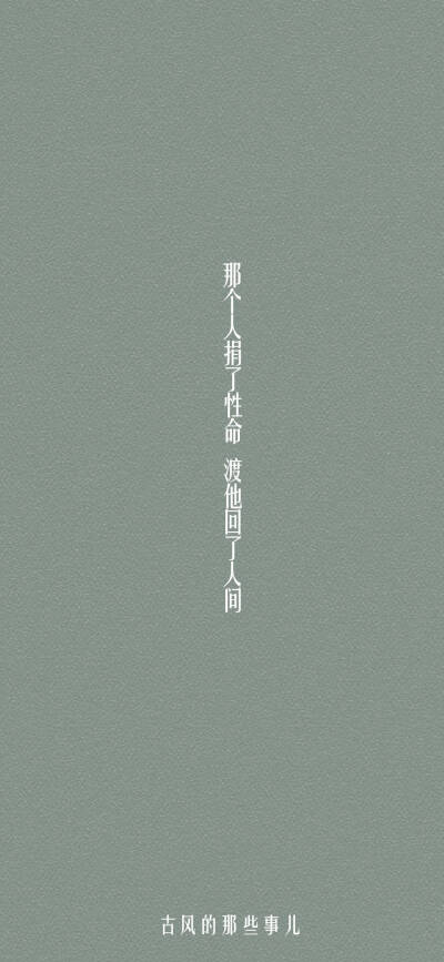 二哈和他的的白猫师尊