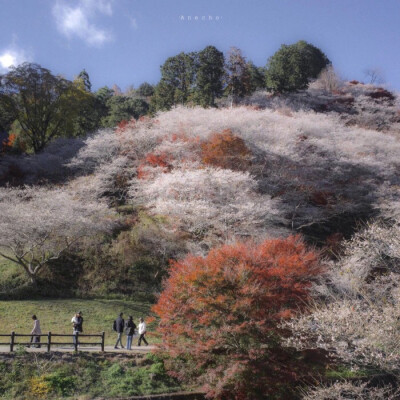 背景