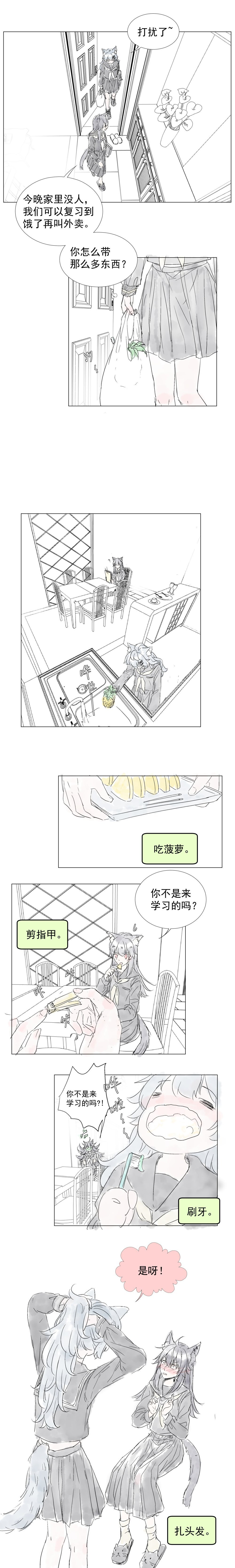 明日方舟 双狼组