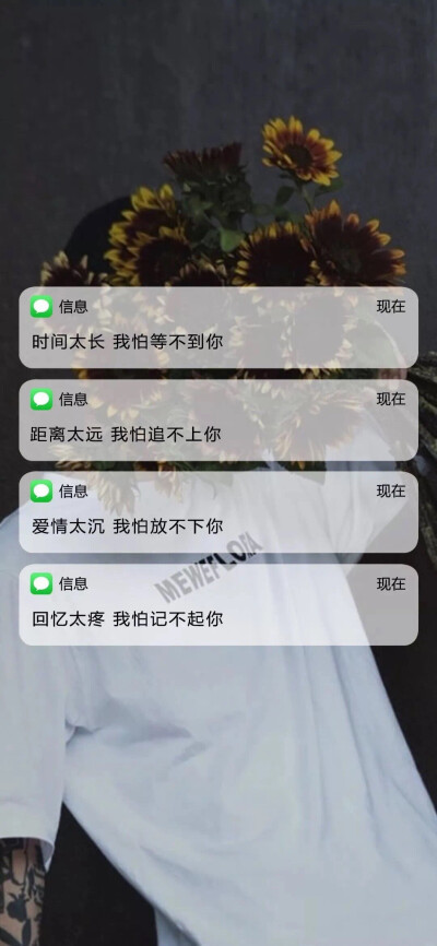 爱豆壁纸和文案壁纸