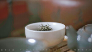 一组瓷器丨日常静物丨调色