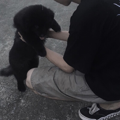 部位