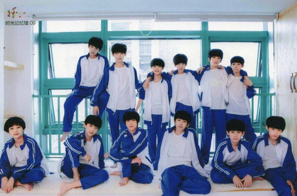 TF家族