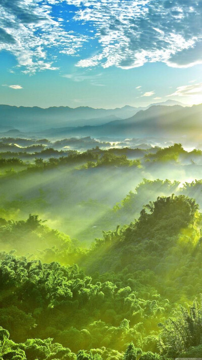 绿色壁纸 归山