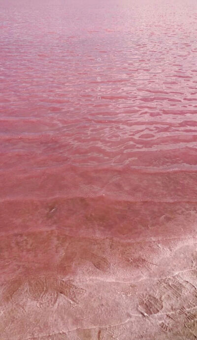 “山月不知心里事，水风空落眼前花”
