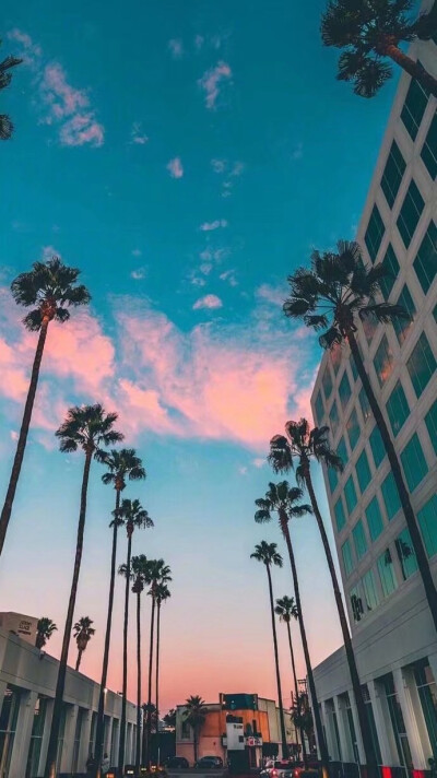 “山月不知心里事，水风空落眼前花”
