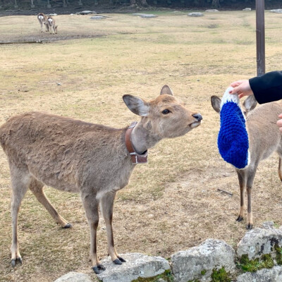 多人情头