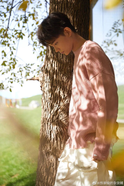 向全世界安利——丁禹兮