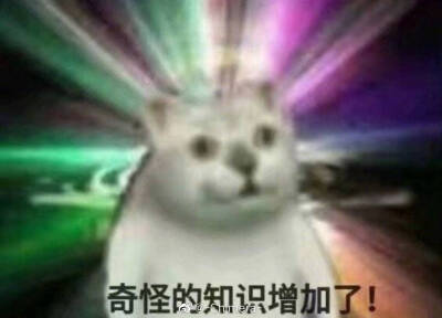 表情包 沙雕猫猫头 奇怪的知识增加了