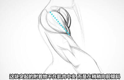 肌肉啊啊啊啊啊