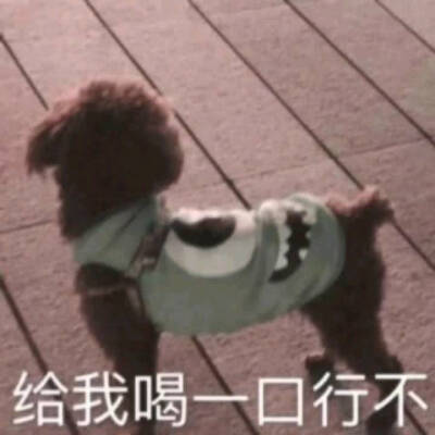 专辑第一组临界十缨和罗西要99哦
到处搜集希望喜欢
